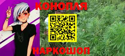 Альфа ПВП Канаш