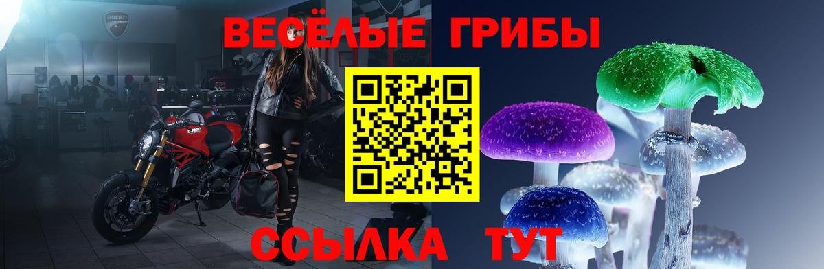 Галлюциногенные грибы Psilocybine cubensis Карачаевск
